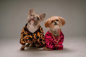 Pet Fashion Tailoring